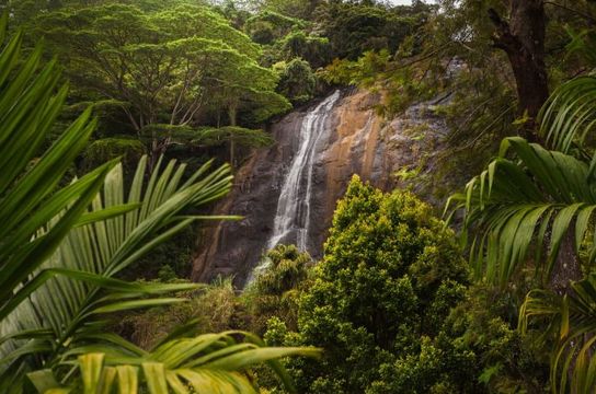 voyage-sri-lanka-rencontres-randonnées-nature-j4