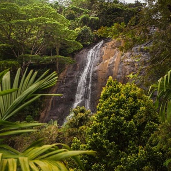 voyage-sri-lanka-rencontres-randonnées-nature-j4