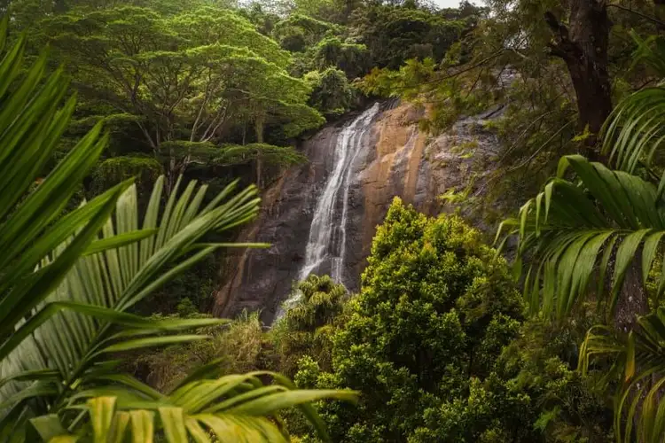 voyage-sri-lanka-rencontres-randonnées-nature-j4