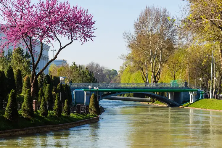 nature-fleurs-parcs-ouzbekistan