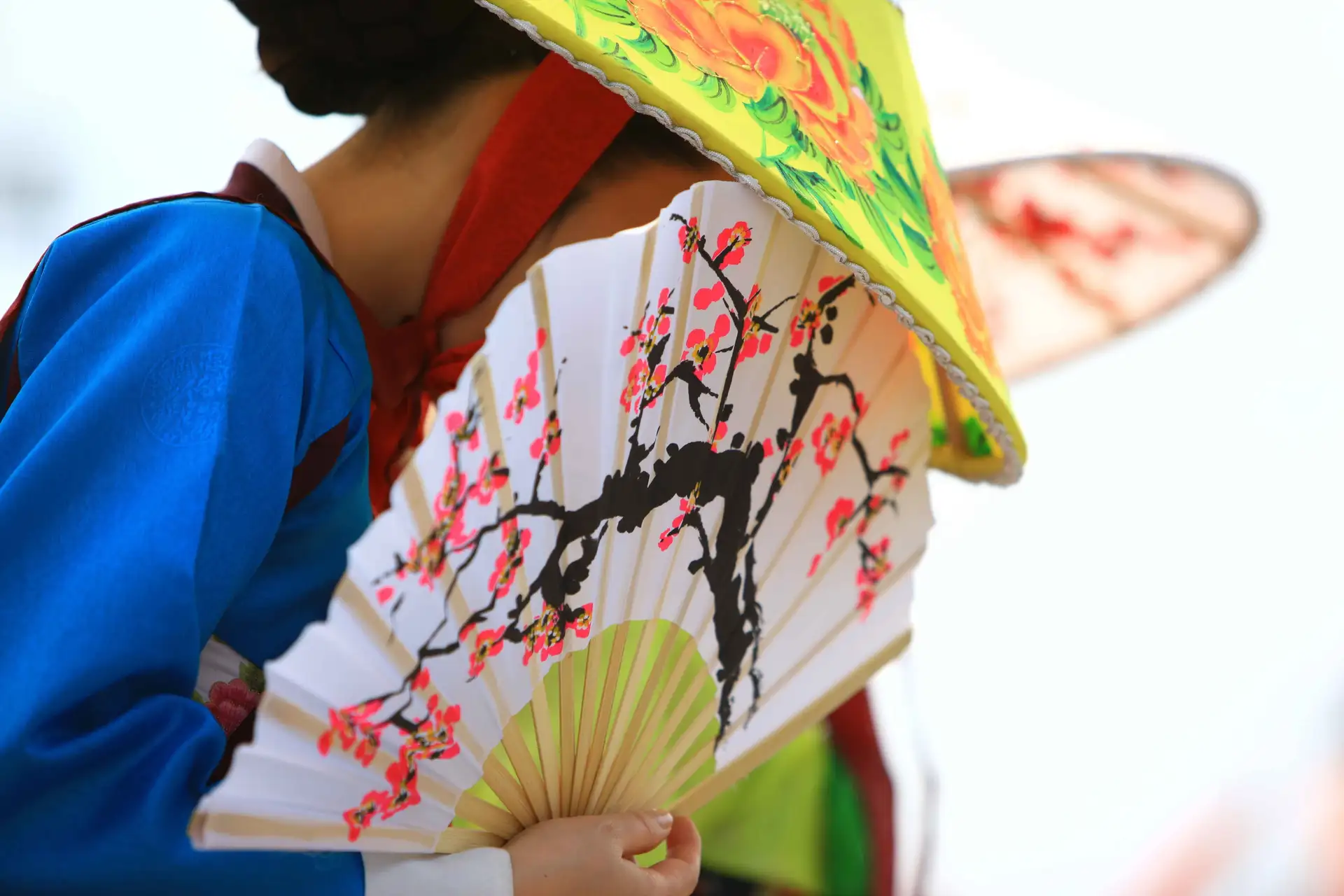 Immersion en Corée du Sud