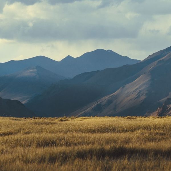 Voyage en Asie — Soin ayurvédique Shirodhara avec un filet d’huile tiède versé sur le front d’une femme allongée, dans une ambiance intérieure chaude et relaxante.