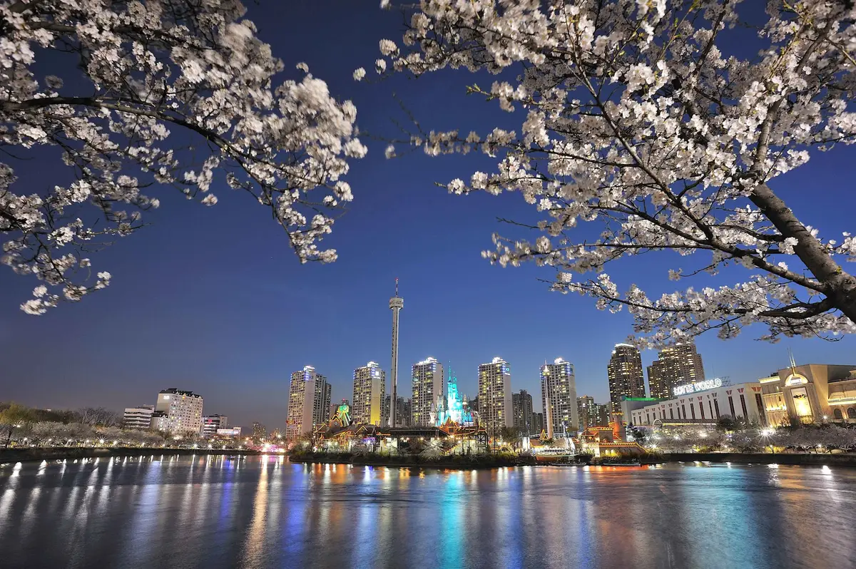Vue nocturne illuminée de la skyline de Séoul avec des branches de cerisiers en fleurs au premier plan.