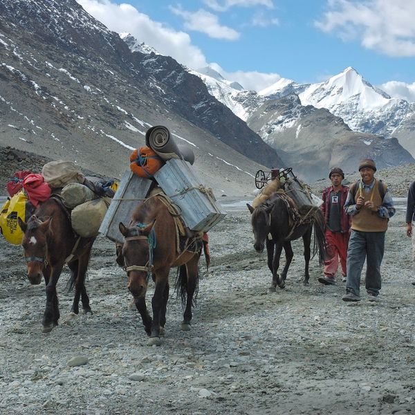 Voyage en Asie — Groupe de randonneurs marchant sur un plateau aride avec des chevaux lourdement chargés, dans un paysage de haute montagne himalayenne avec sommets enneigés et ciel lumineux.