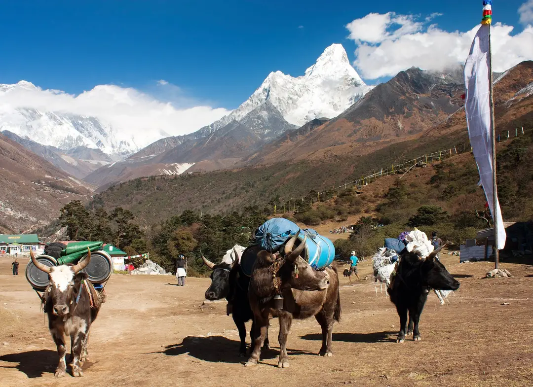 Day 4 - Trek du camp de base de l_Everest 2026.jpg