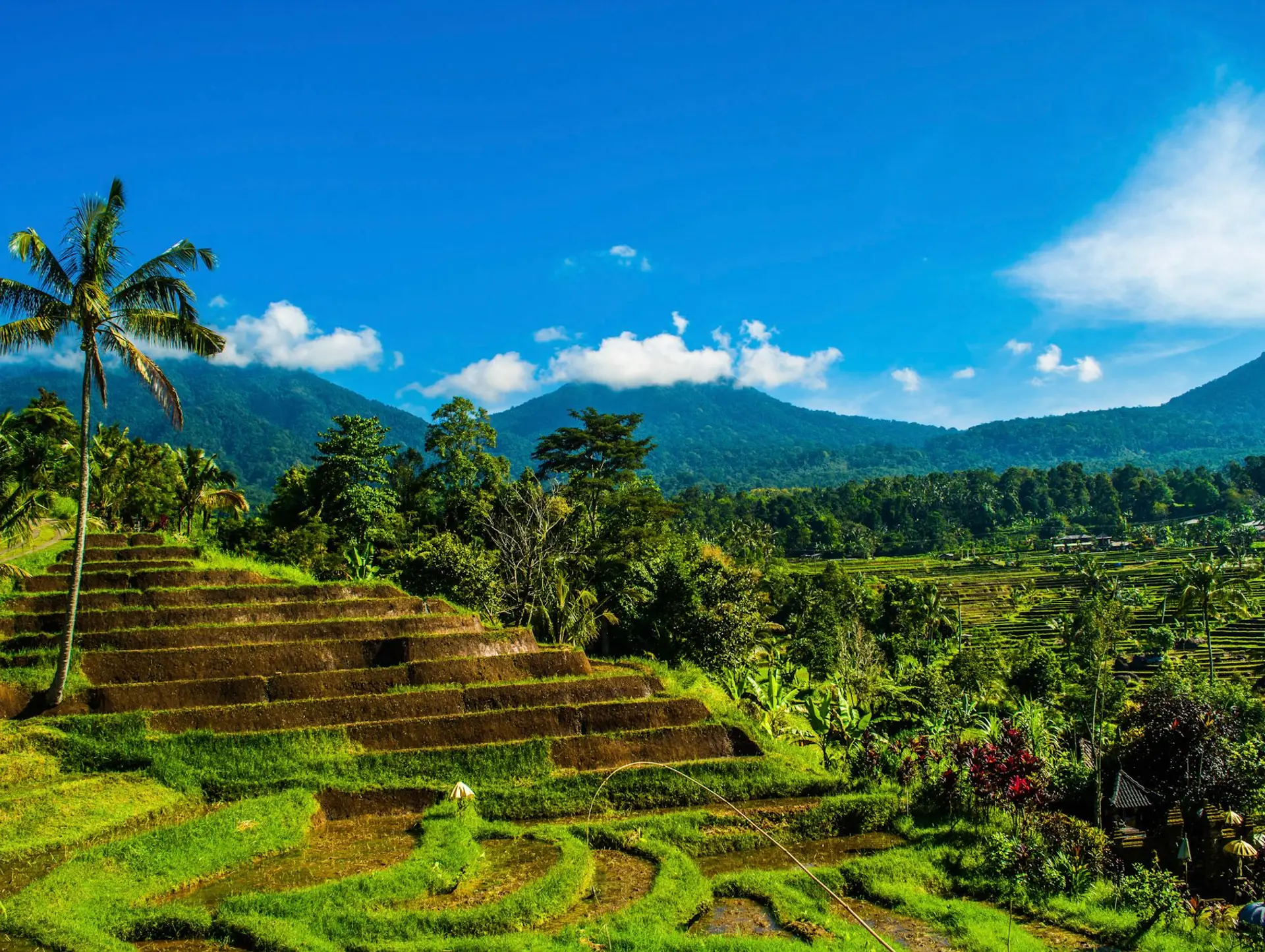 Que faire à Ubud ?