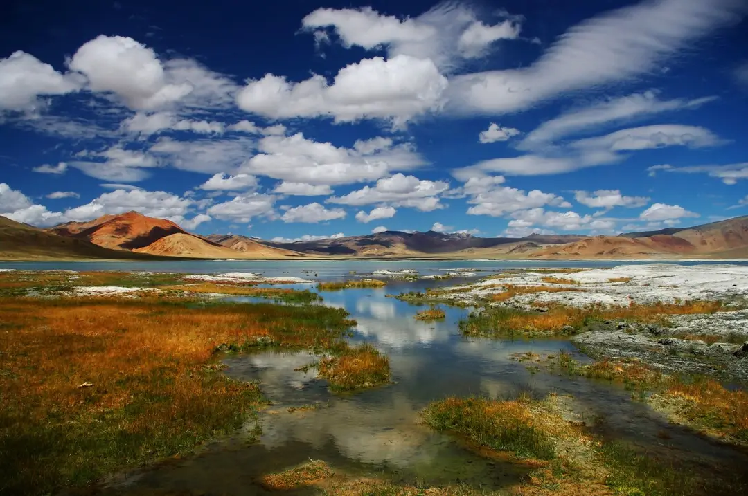 Day 8 - Immersion au Ladakh 2026.jpg