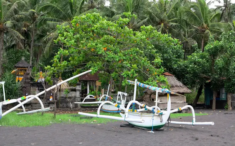 Des bateaux traditionnels balinais à balancier amarrés sur une plage de sable noir bordée d'une végétation tropicale luxuriante et de palmiers à Candidasa.