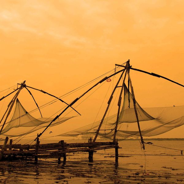 Kerala-Kochi-Filet-Chinois-Jaune-Inde-du-sud