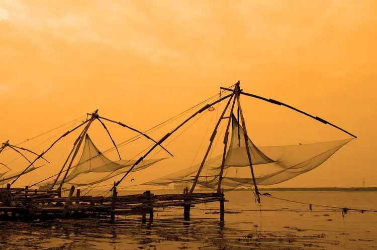 Kerala-Kochi-Filet-Chinois-Jaune-Inde-du-sud
