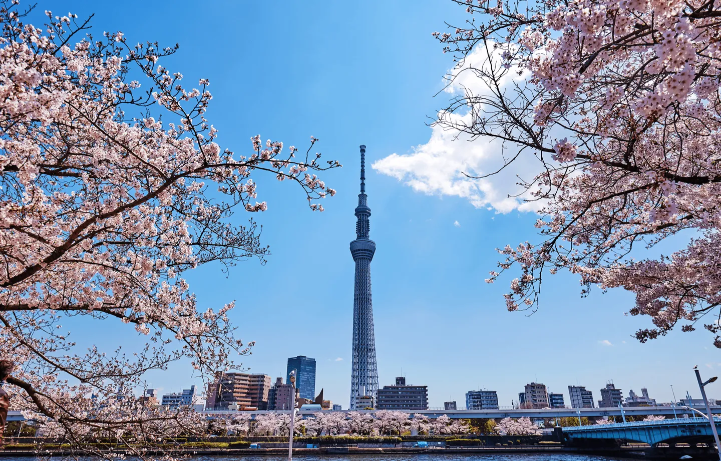 Voyage au Japon - Découverte insolite de Tokyo ou Kyoto à vélo