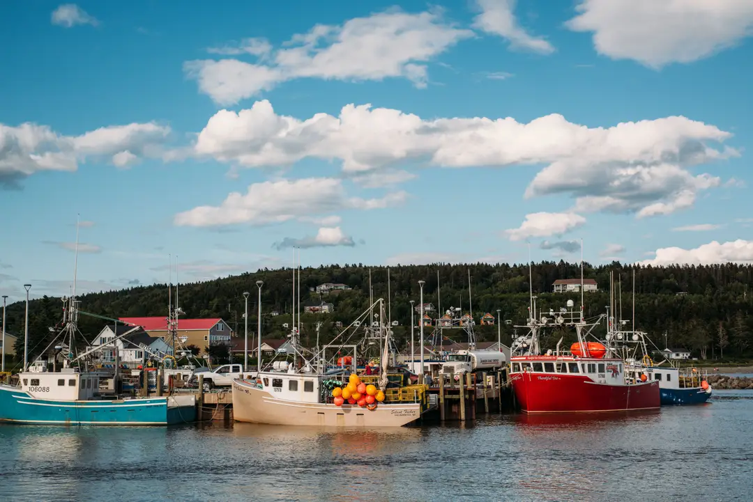 Des bateaux de pêche colorés amarrés dans un port tranquille au Nouveau-Brunswick, Canada, par une journée ensoleillée