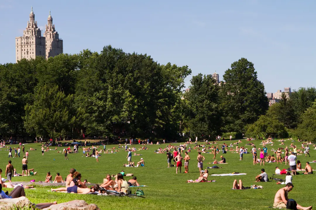 Des personnes profitant d'une journée ensoleillée à Central Park, New York.