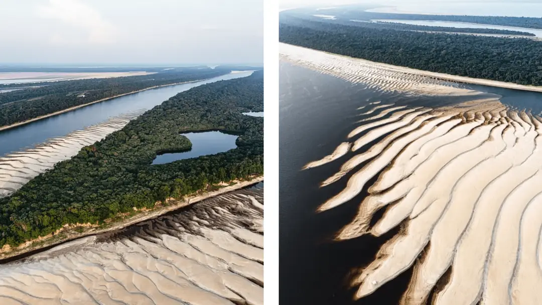 Vues aériennes de la forêt amazonienne.