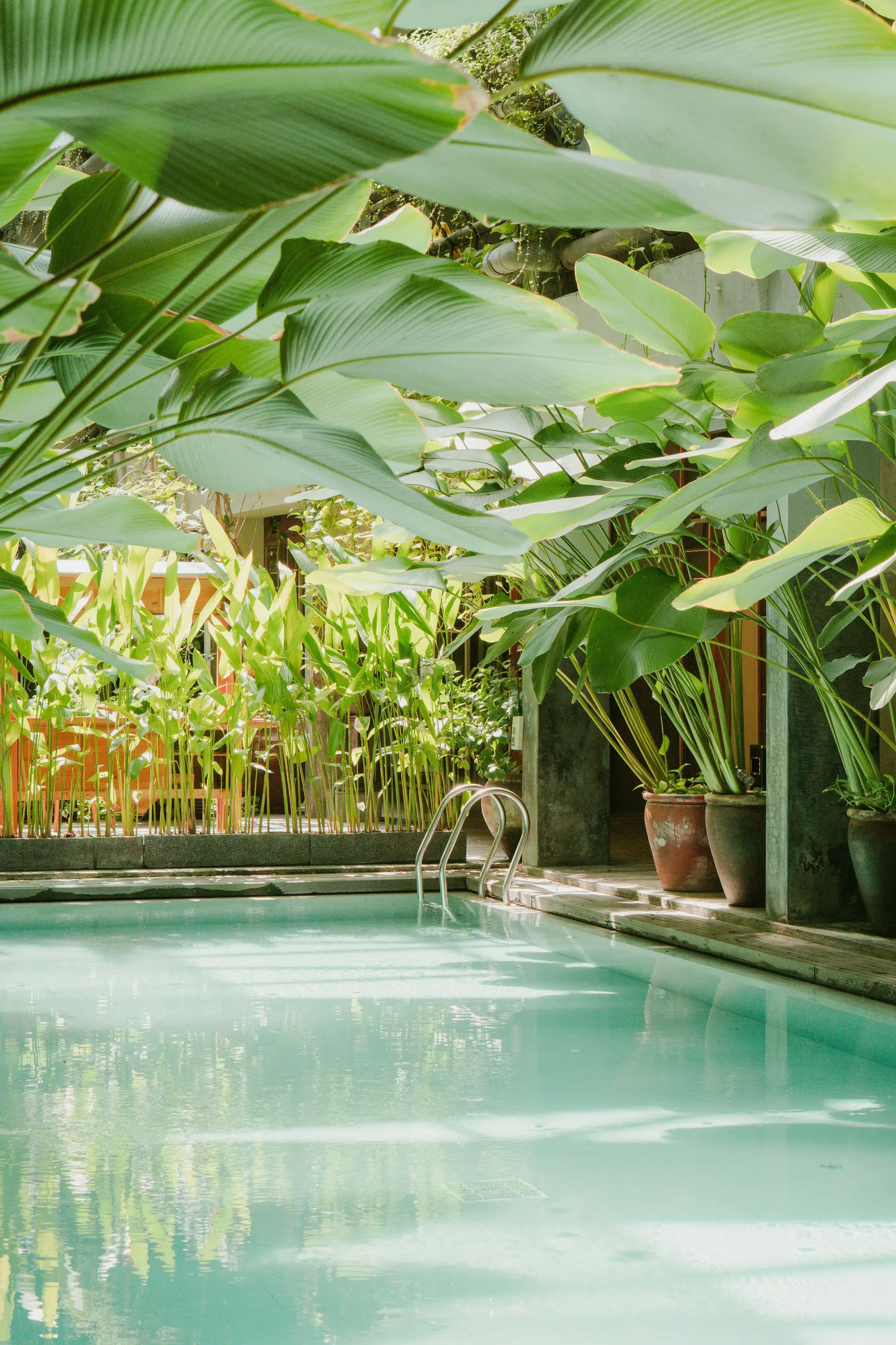 Travel in Asia - A peaceful outdoor swimming pool surrounded by lush, tropical foliage