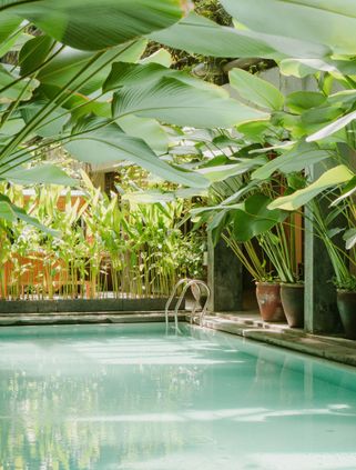 Travel in Asia - A peaceful outdoor swimming pool surrounded by lush, tropical foliage