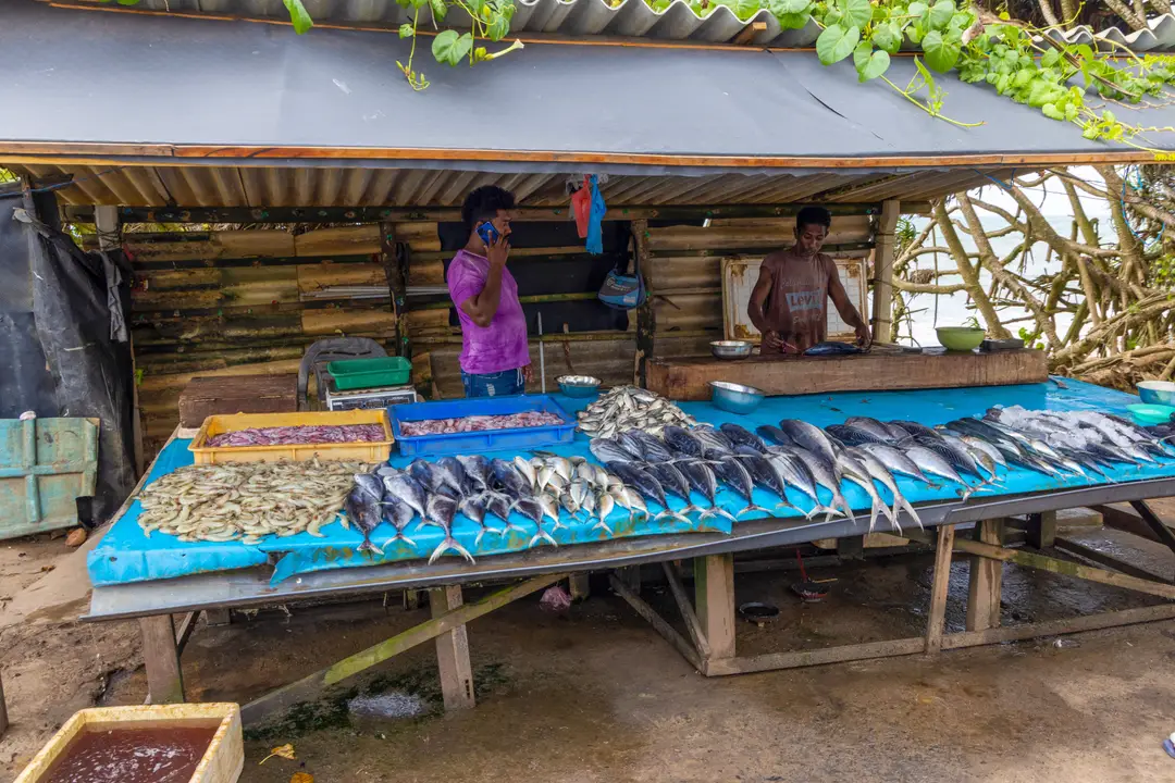 Deux hommes travaillant dans un stand de marché aux poissons vibrant à Bentota, affichant des fruits de mer frais en plein air