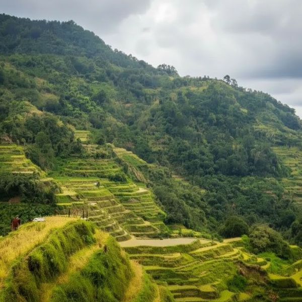 Berglandschaft Richtung Banaue auf den Philippinen