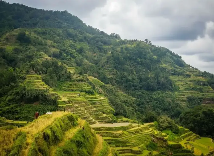 Berglandschaft Richtung Banaue auf den Philippinen