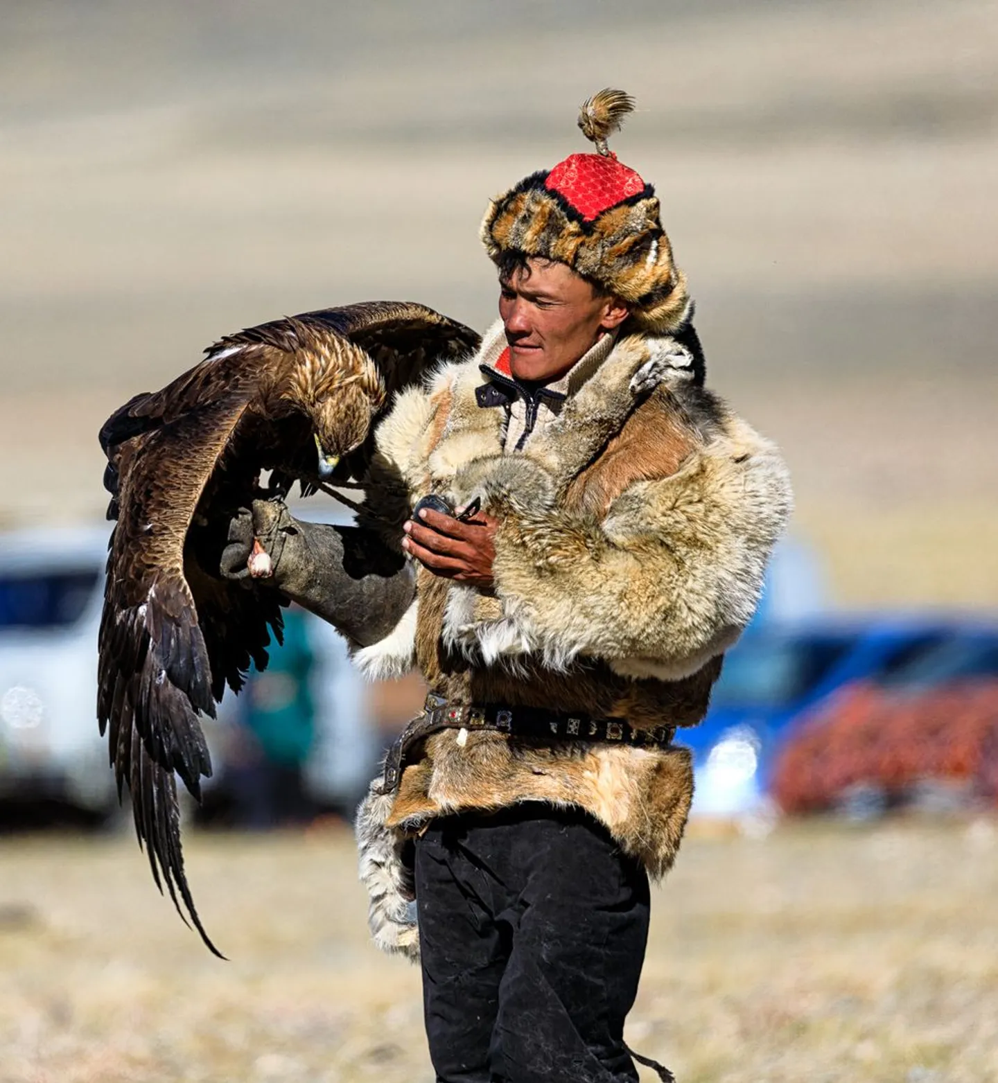 Festival de l'Aigle.jpg
