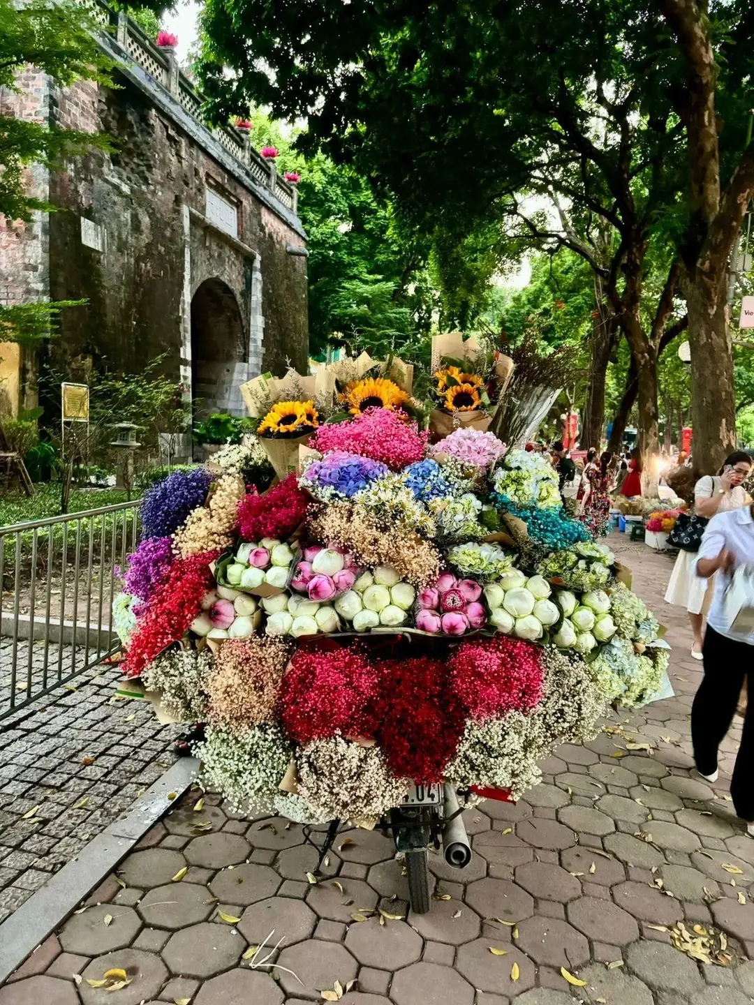 Un vélo stationné sur un large trottoir ombragé de la rue Phan Dinh Phung à Hanoi, chargé d'une immense et impressionnante montagne de bouquets de fleurs colorées (tournesols, gypsophiles, lotus).