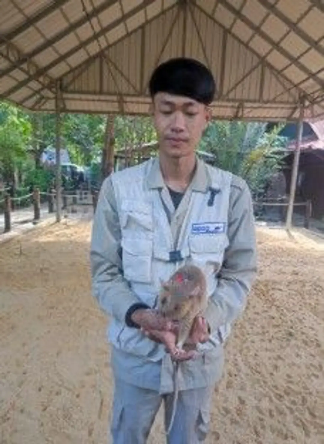 HeroRATs.jpg