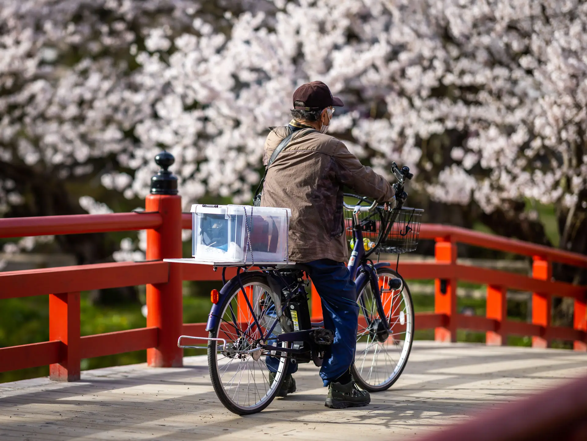 10 erreurs à éviter lors d’un voyage au Japon