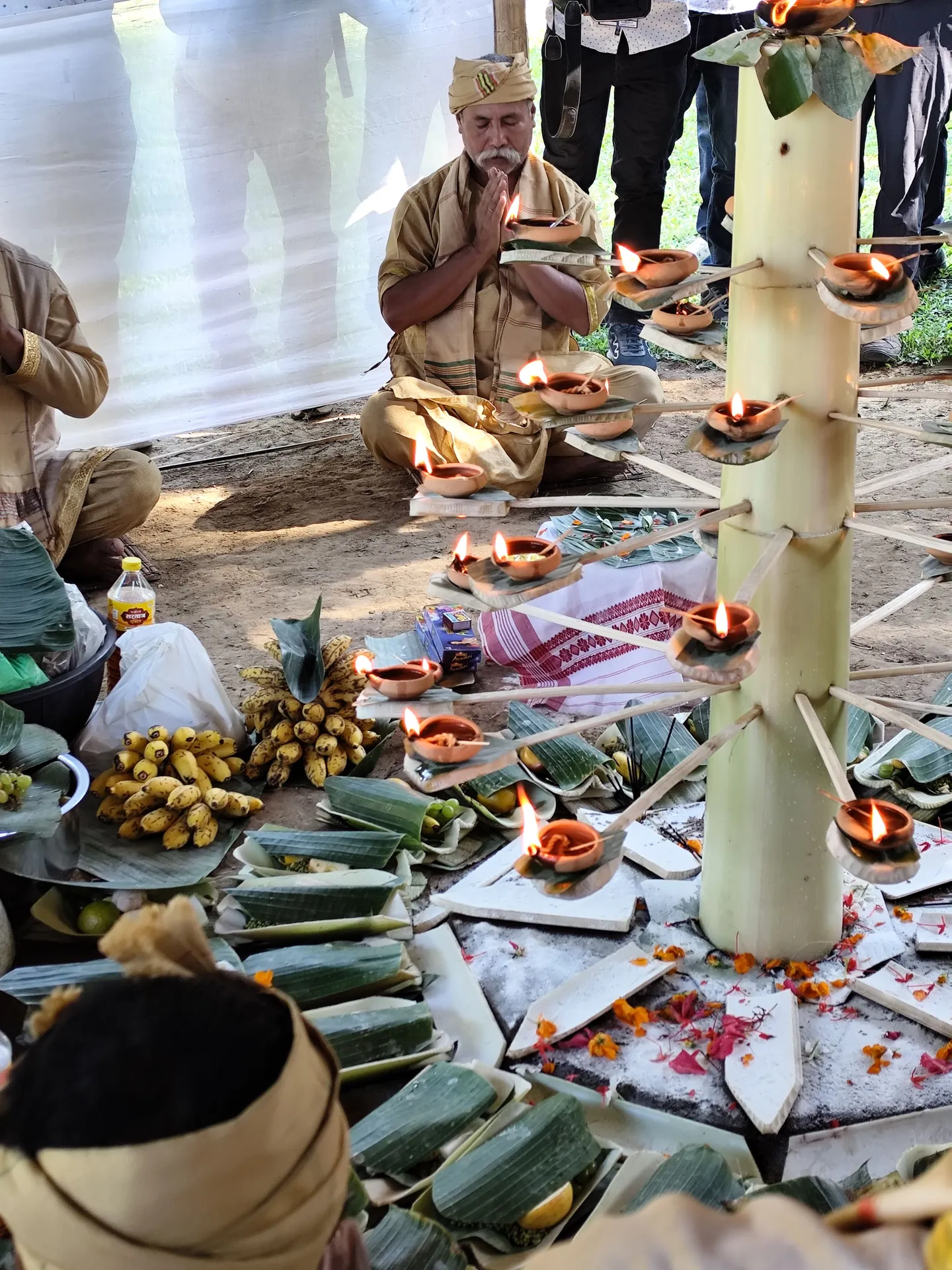 IMG_20241126_125832 (1).jpg