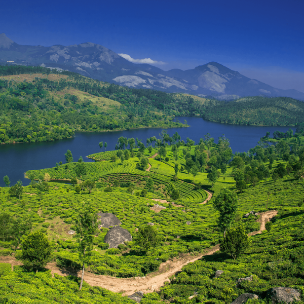 Voyage en Inde - Coline et fleuve au sud de l'Inde