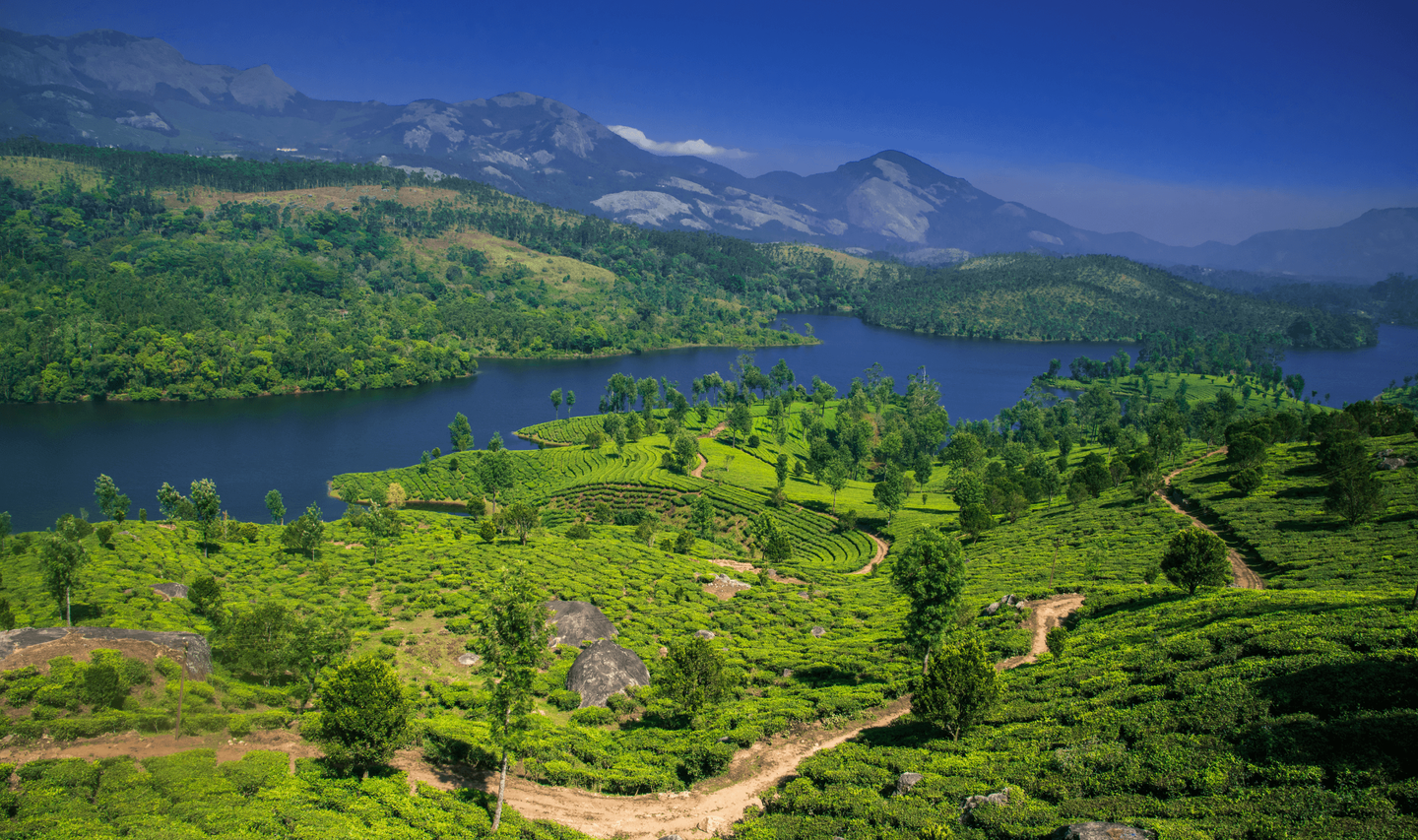 Voyage en Inde - Coline et fleuve au sud de l'Inde