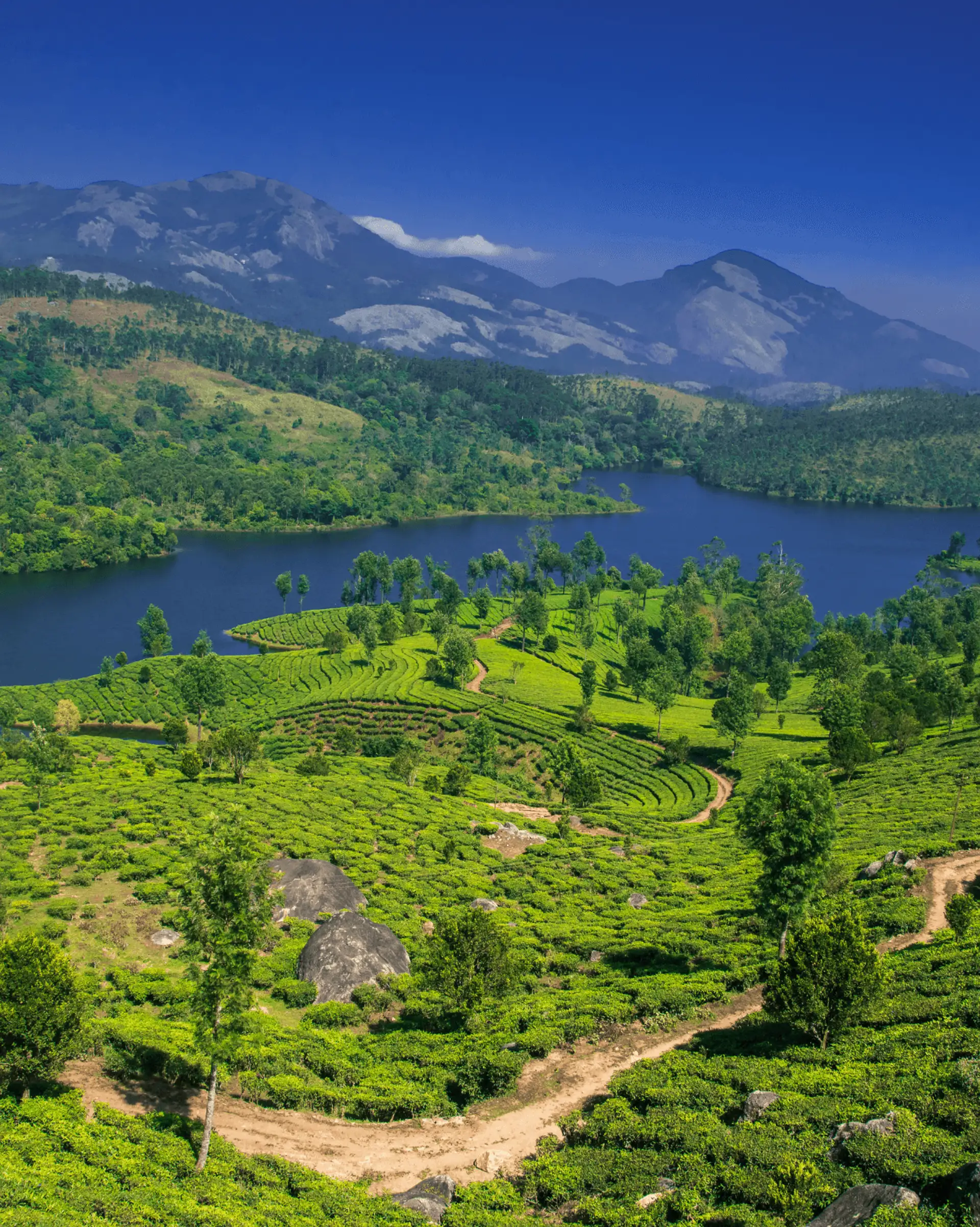 Voyage en Inde - Coline et fleuve au sud de l'Inde