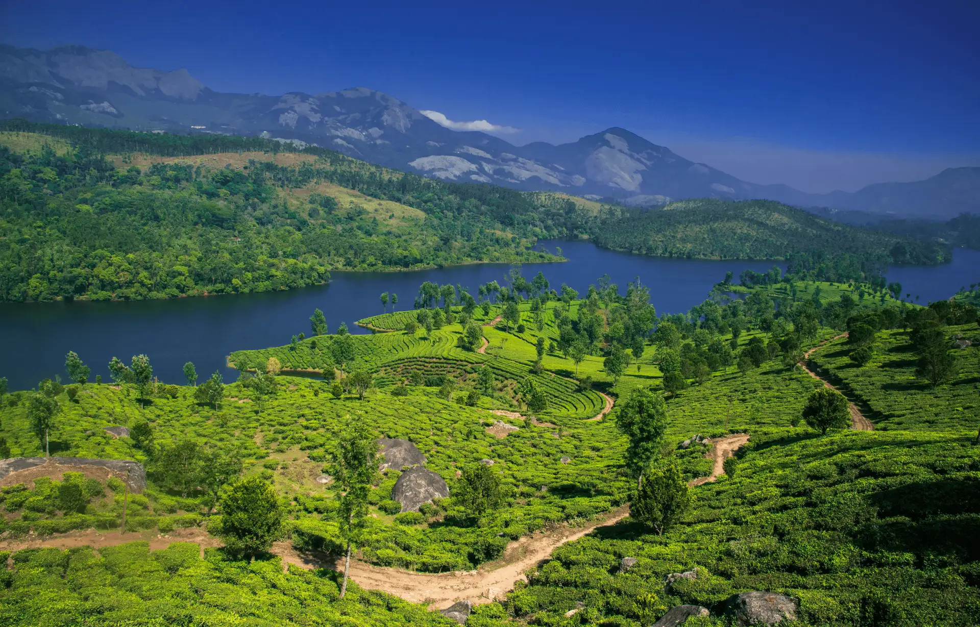 Voyage en Inde - Coline et fleuve au sud de l'Inde