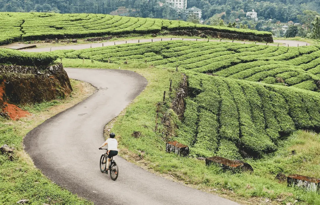 India - Cyclomania -  Kerala road cycling - Cover.png