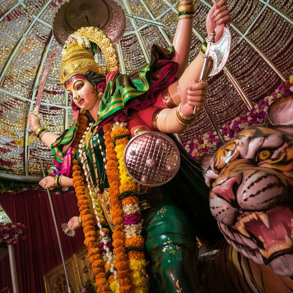 Voyage en Inde - Tigre Durga Puja