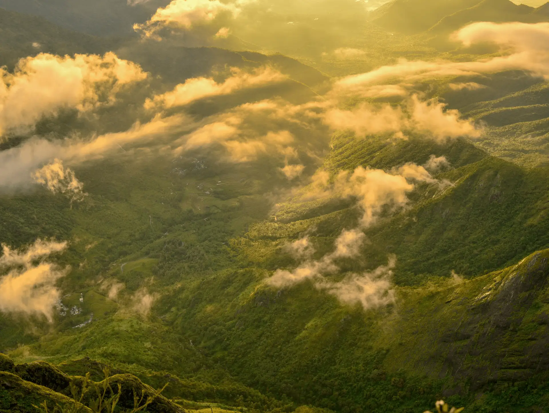 Quand partir en Inde