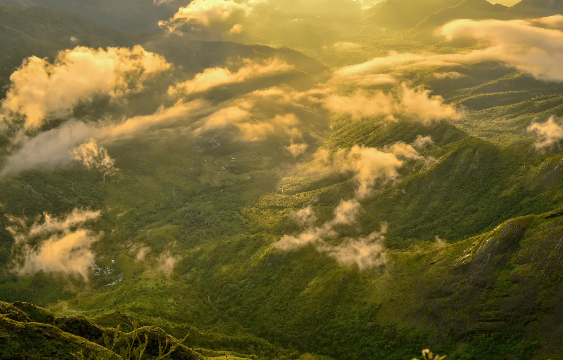 Quand partir en Inde - guide climat, saisons et conseils de voyage