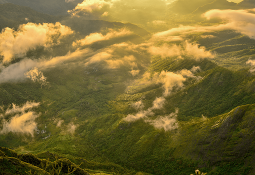 Quand partir en Inde - guide climat, saisons et conseils de voyage