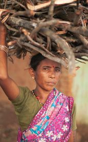 Voyage en Inde du Sud : Femmes du Kerala transportant du bois