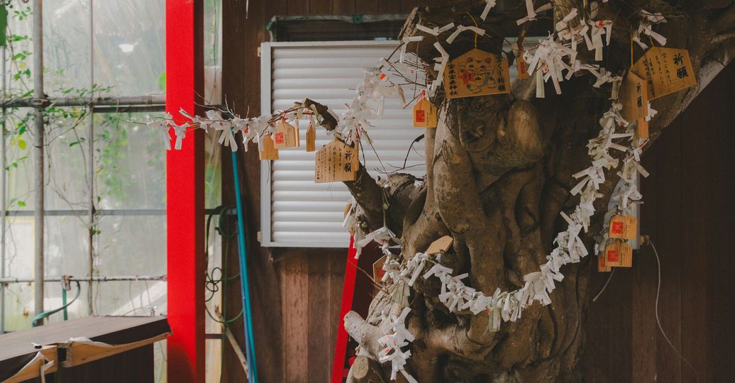 Travel in Asia - The interior of a Shinto shrine in Japan
