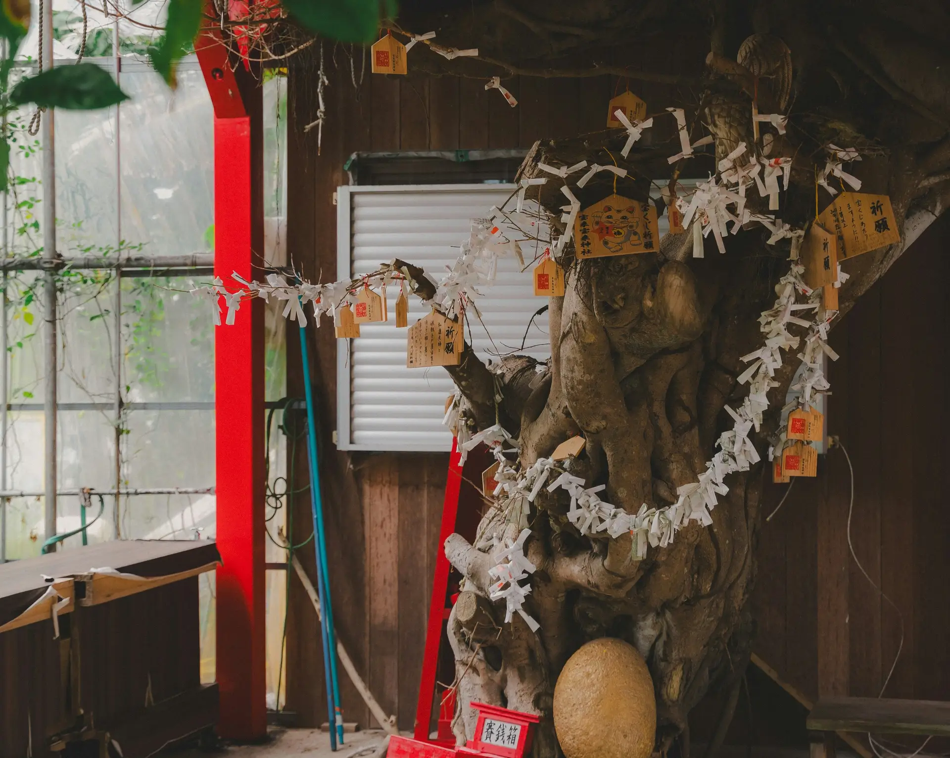 Travel in Asia - The interior of a Shinto shrine in Japan