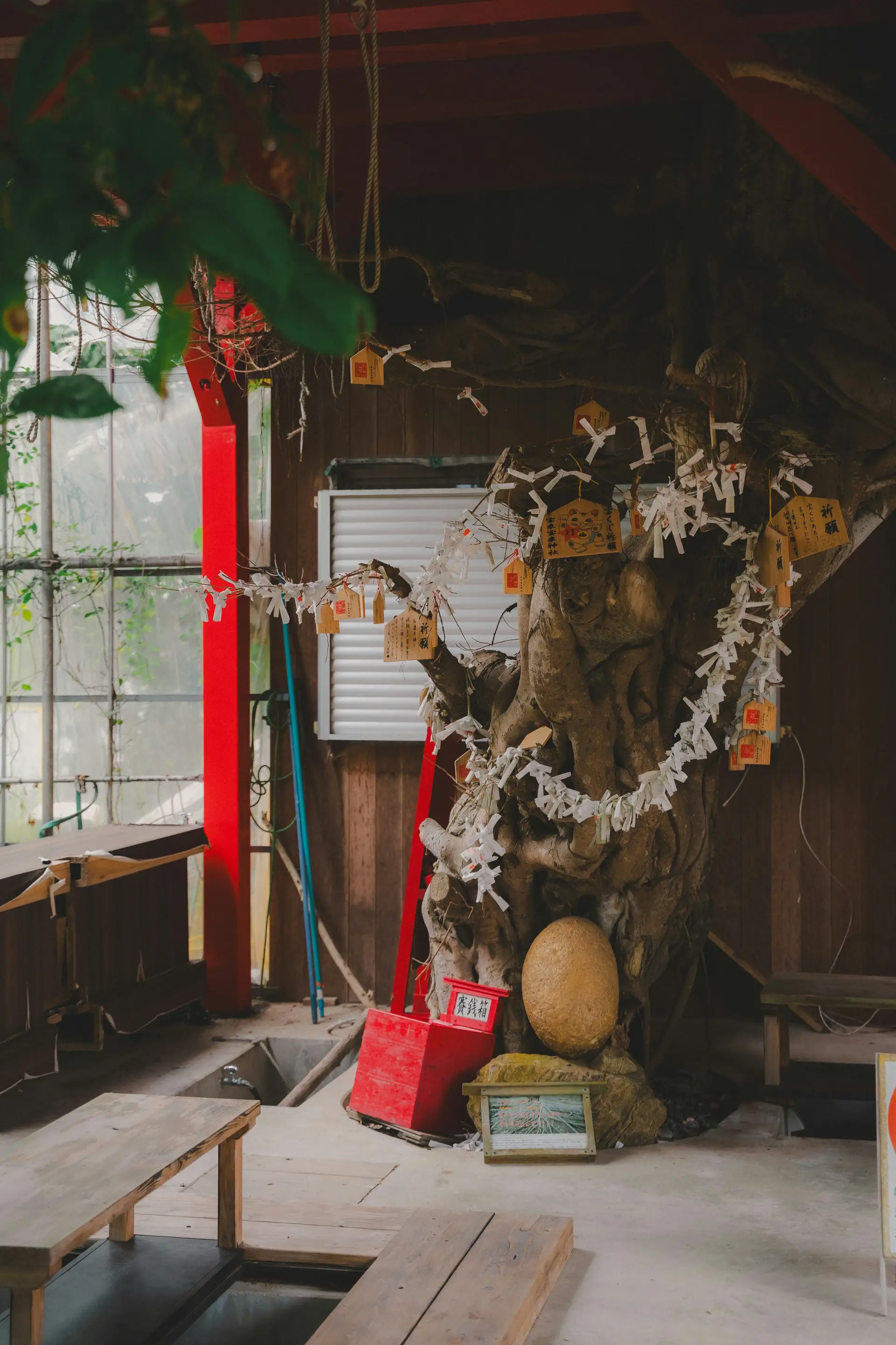 Travel in Asia - The interior of a Shinto shrine in Japan