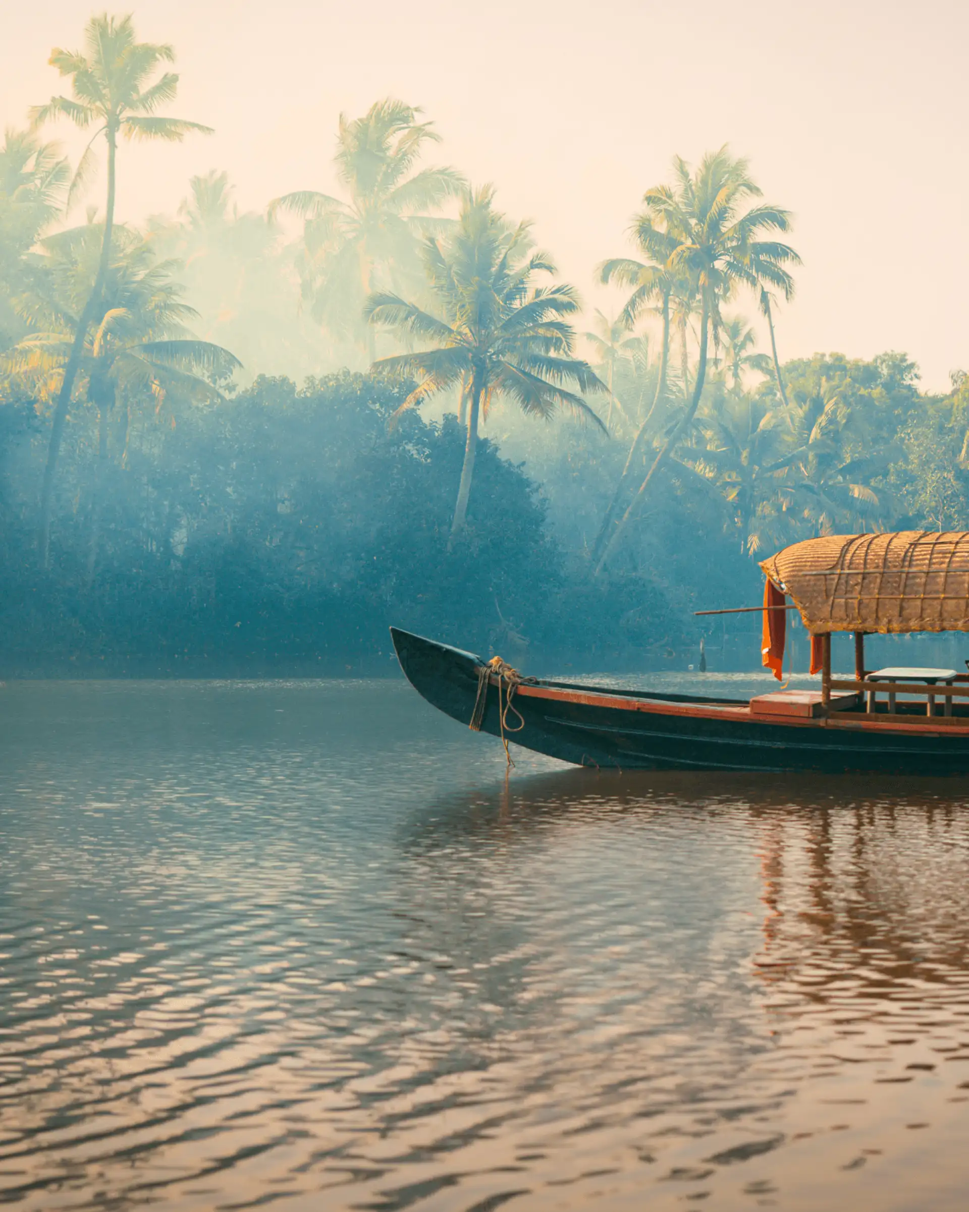 Travel in Asia - A boat floating on a river surrounded by jungle in the backwaters of Kerala, India