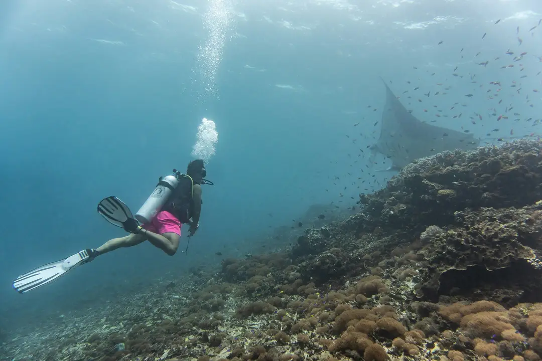 Indonesia-Komodo-diving-unsplash.jpg