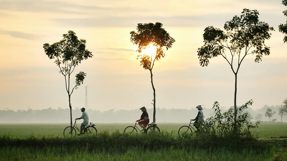 Voyage en Asie — Trois cyclistes traversant un paysage rural balinais au lever du soleil, avec des chapeaux coniques traditionnels et des rizières verdoyantes, dans une atmosphère paisible et brumeuse.