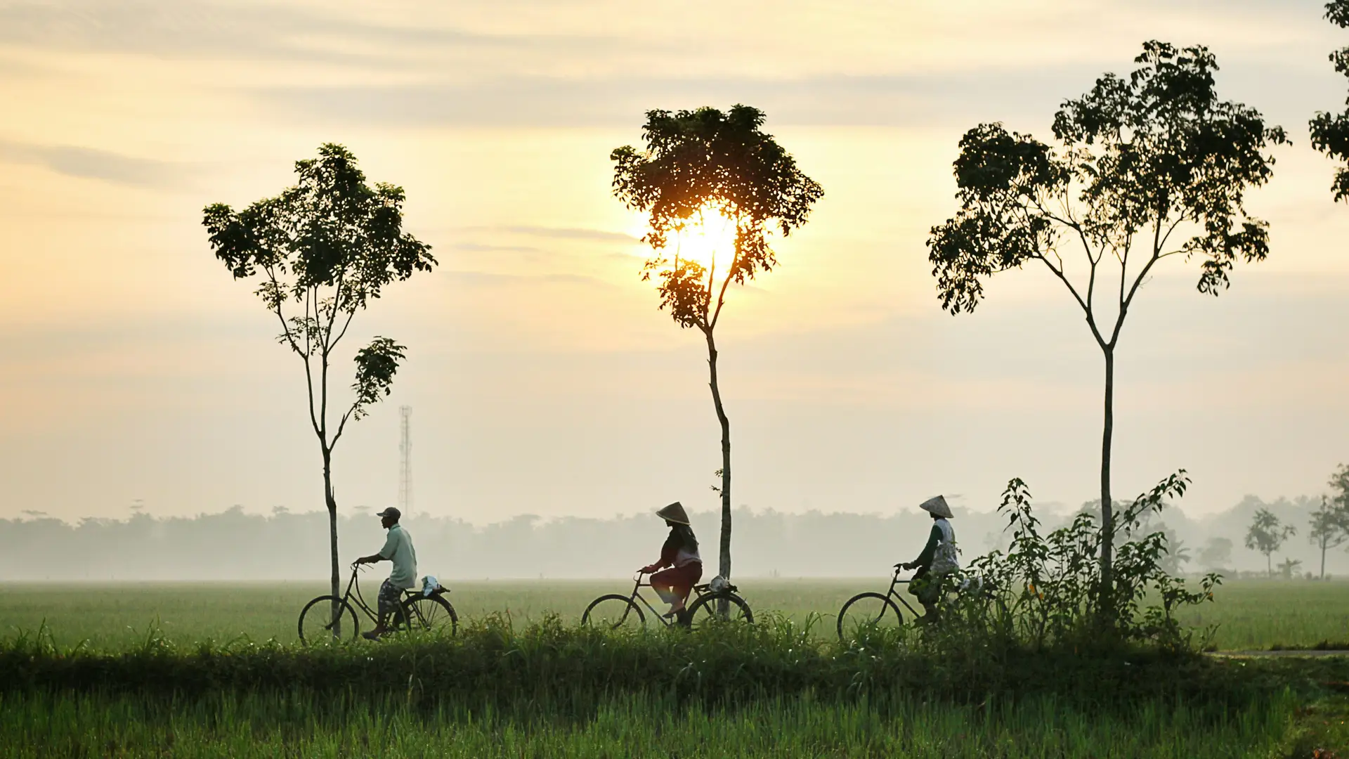 Voyage en Asie — Trois cyclistes traversant un paysage rural balinais au lever du soleil, avec des chapeaux coniques traditionnels et des rizières verdoyantes, dans une atmosphère paisible et brumeuse.