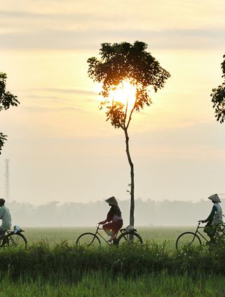 Voyage en Asie — Trois cyclistes traversant un paysage rural balinais au lever du soleil, avec des chapeaux coniques traditionnels et des rizières verdoyantes, dans une atmosphère paisible et brumeuse.
