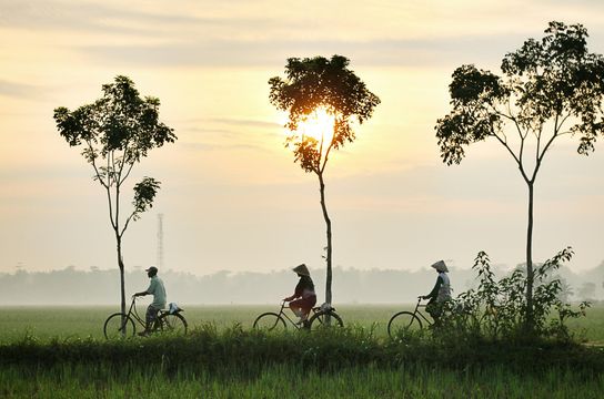 Voyage en Asie — Trois cyclistes traversant un paysage rural balinais au lever du soleil, avec des chapeaux coniques traditionnels et des rizières verdoyantes, dans une atmosphère paisible et brumeuse.