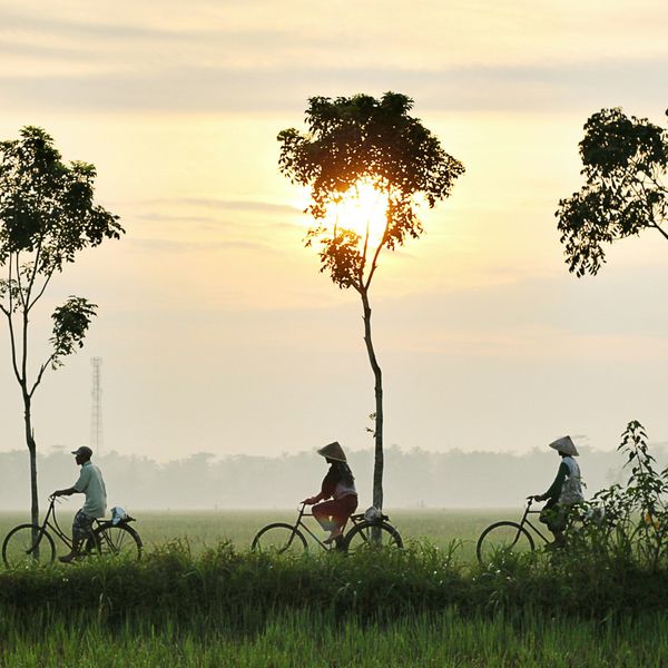 Voyage en Asie — Trois cyclistes traversant un paysage rural balinais au lever du soleil, avec des chapeaux coniques traditionnels et des rizières verdoyantes, dans une atmosphère paisible et brumeuse.