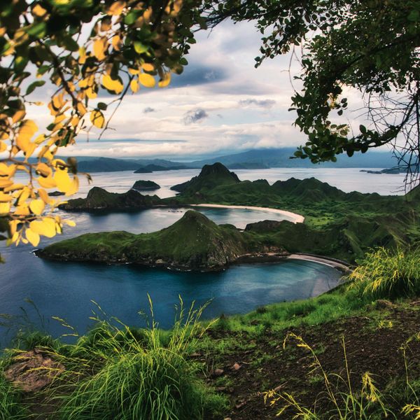 Voyage en Indonésie, Flores : île de padar komodo