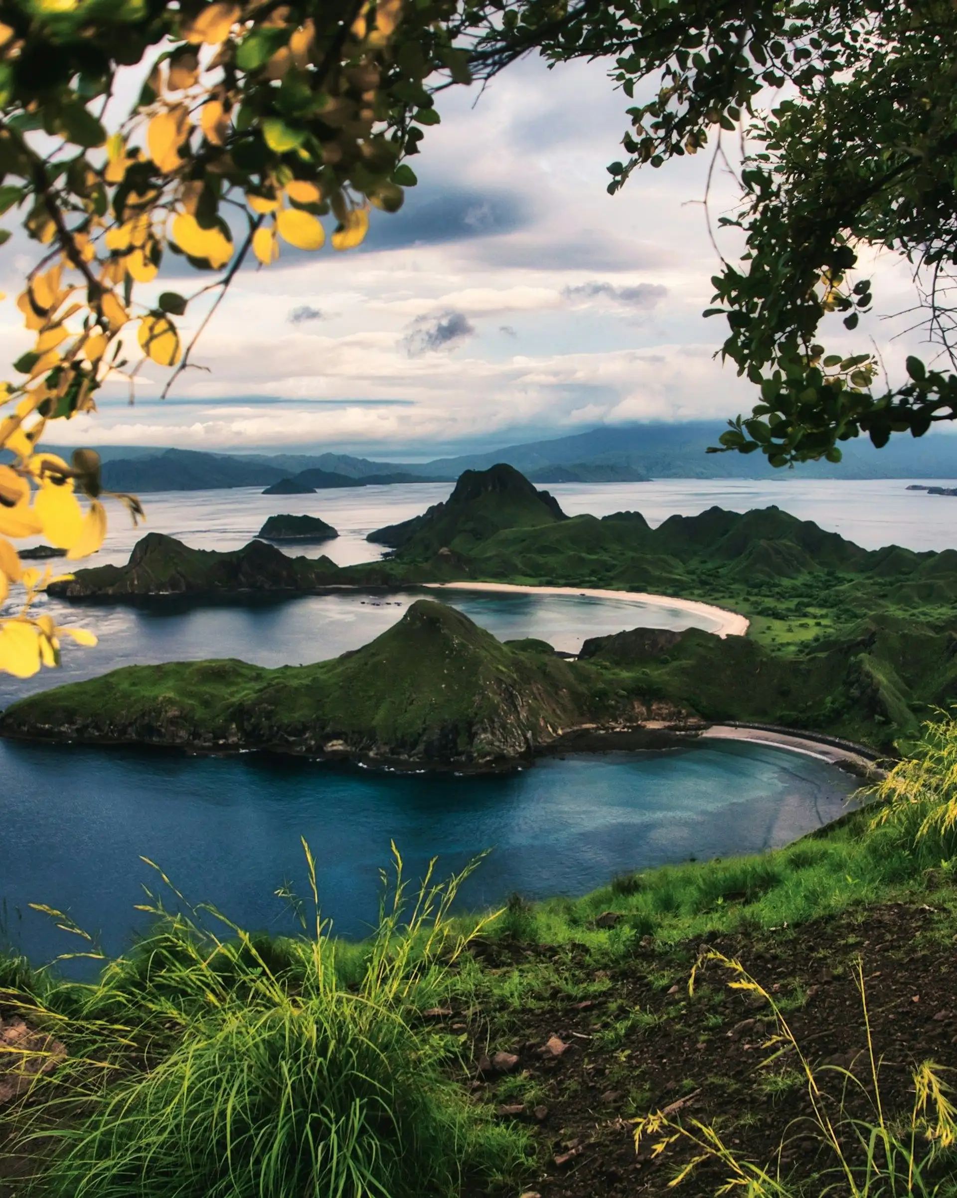 Voyage en Indonésie, Flores : île de padar komodo